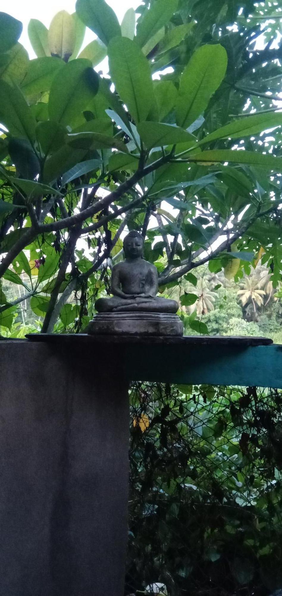 Jungle House Apartment Unawatuna Luaran gambar